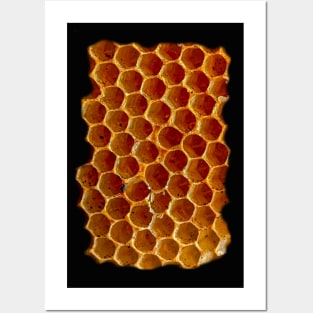 Honeycomb Posters and Art